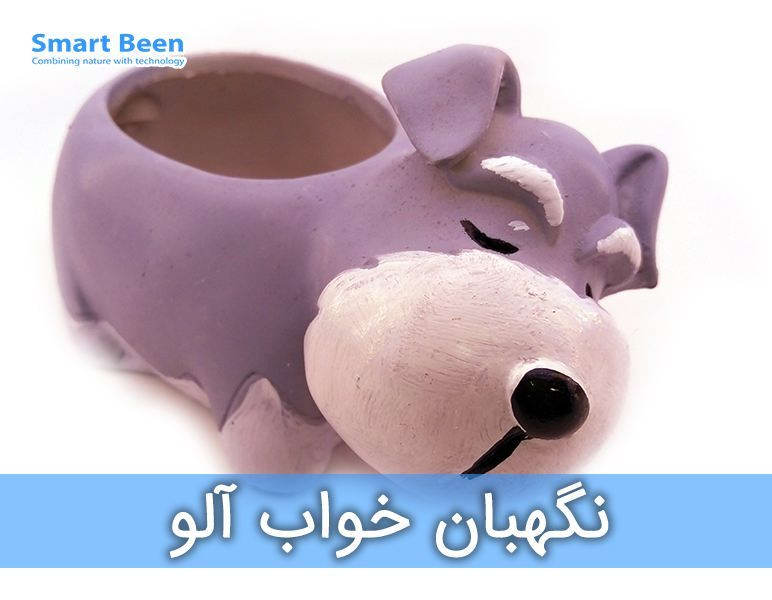 خرید گلدان فانتزی، گلدان خاص، سگ پزشک‌یار (خواب آلو)