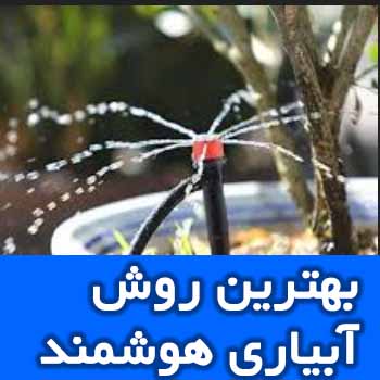 بهترین سیستم آبیاری برای گیاهان آپارتمانی در سال ۲۰۲۶ | راهنمای انتخاب و خرید