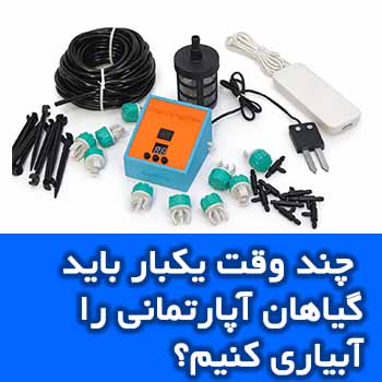 چند وقت یکبار باید گیاهان آپارتمانی را آبیاری کنیم؟ (راهنمای علمی بر اساس نوع گیاه)